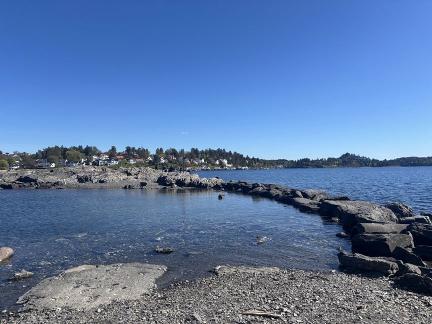 en steinete strand med vann og trær i bakgrunnen