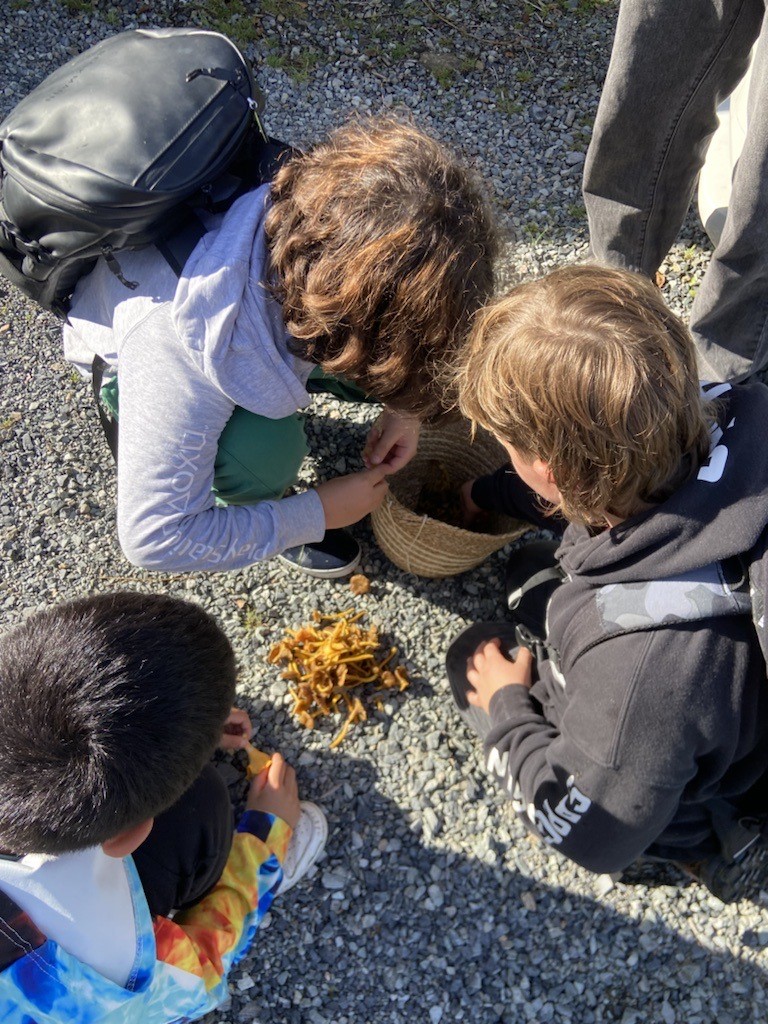en gruppe barn som leker med et bål
